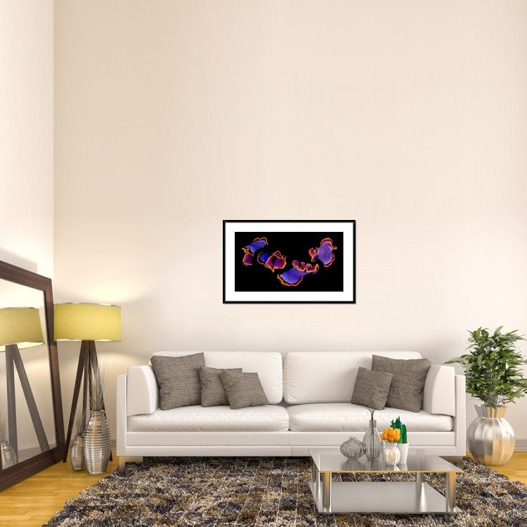 "Flamenco" Framed Digital Print by Andrey Narchuk, 44x28"