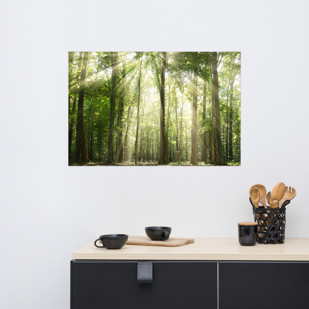 Sun Rays Through Treetops Landscape Photo Unframed Wall Art Print, 24" X 36"