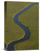 "Papyrus Swamps And Channel, Aerial View, Africa" Artwork, 12" x 18"