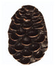 Pinecone Cabinet Knob, Oil Rubbed Bronze