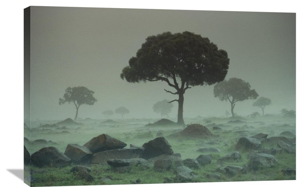 "Rain Storm On The Serengeti Plains, Kenya" Artwork, 36" x 24"