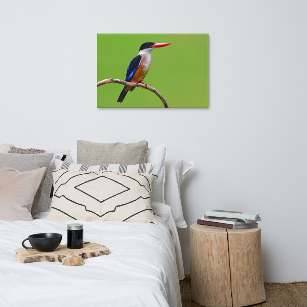 Black Capped Kingfisher Bird on Perch Wildlife Photograph Canvas Wall Art Print, 24" X 36"