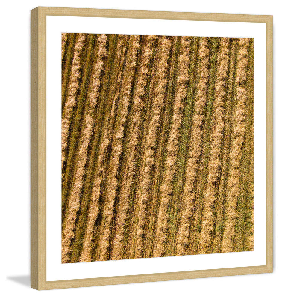 "Tilled Field" Framed Print by Karolis Janulis