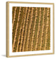 "Tilled Field" Framed Print by Karolis Janulis