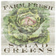 "Farm Fresh Greens" Digital Paper Print by Sue Schlabach, 32"x32"