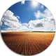 Expansive Field Under White Clouds, Landscape Round Metal Wall Art, 11"