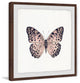 "Pink and Black Butterfly" Framed Painting Print, 24"x24"