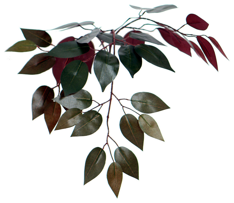 4' Capensia Bush In Square Willow