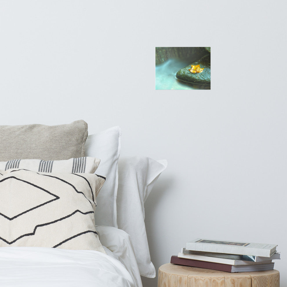 Misty Leaf Nature Photography, Botanical Unframed Wall Art Print, 8" X 10"