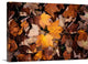 "Sweet Delusion" Wrapped Canvas Art Print, 48"x32"x1.5"