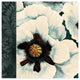 Beautiful Blooms 20x20 Canvas Wall Art