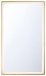 Lenora 54" Rectangular Mirror, Gold