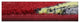 Area Rug Hook and Ladder, Nylon Stainmaster Carpet, Red, XXL: 12'x14'