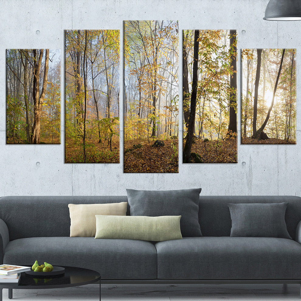 "Green Autumn Forest in Morning" Landscape Canvas Photo Print, 5 Panels, 60"x32"
