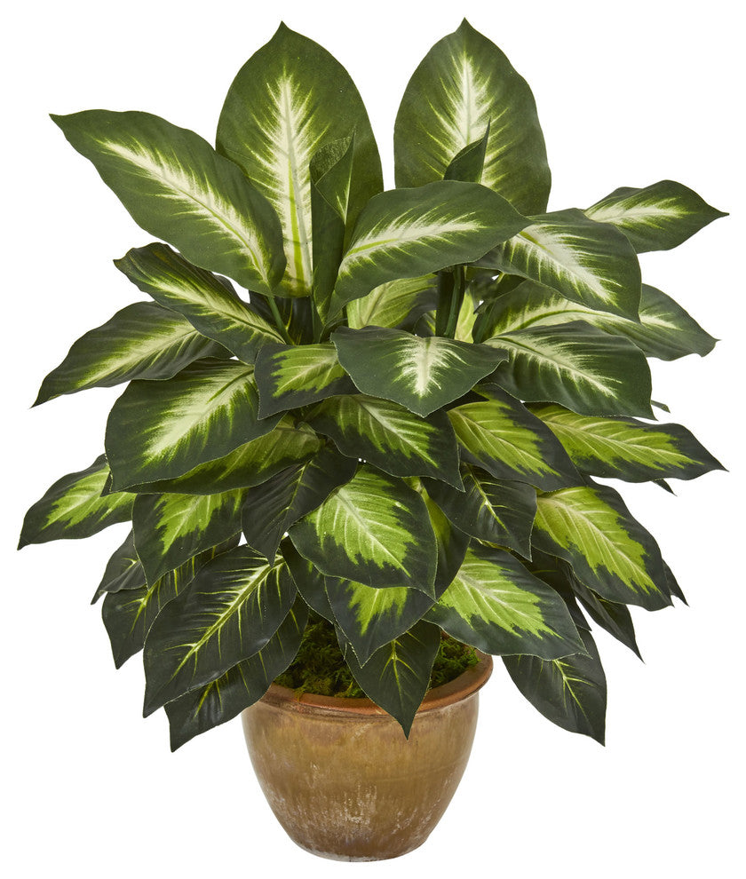 Dieffenbachia Artificial Plant, Ceramic Planter