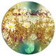 Beautiful Blossom Chamomile Flowers, Flower Disc Metal Wall Art, 23"