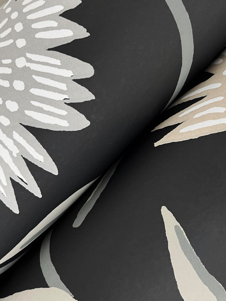 Aster Black Wallpaper