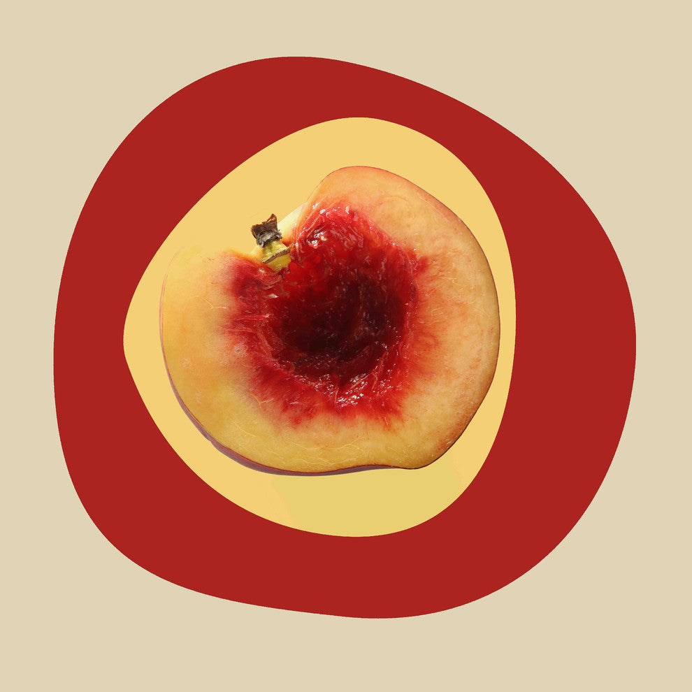 "September Peach 2" Painting Print on Canvas by Irena Orlov