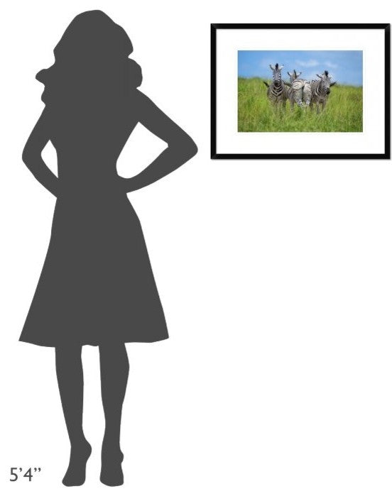"Curious / Annoyed / Curious" Framed Print by Andreas Feldtkeller, 26"x20"