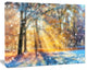 Blur Winter with Snow Flakes, Landscape Canvas Art Print, 60x40