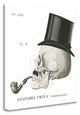 "Dandy Bones II" By Sue Schlabach, Giclee Print on Gallery Wrap Canvas
