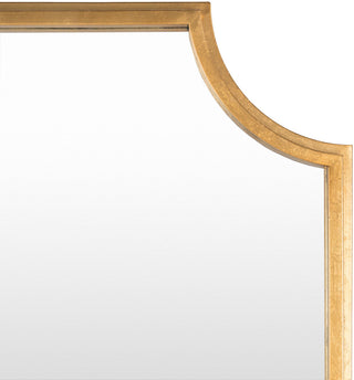 Joslyn Traditional Mirror, 40"x75"