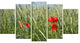 Rural Landscape with Red Poppies, Large Landscape Canvas Art, 60"x32", 5 Panels