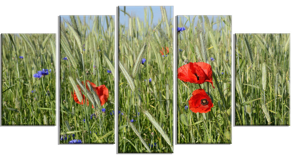 Rural Landscape with Red Poppies, Large Landscape Canvas Art, 60"x32", 5 Panels