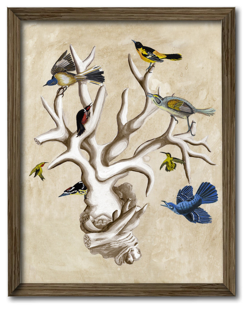 "The Ornithologist's Dream II" Gallery Framed Canvas Wall Art, 16"x20"