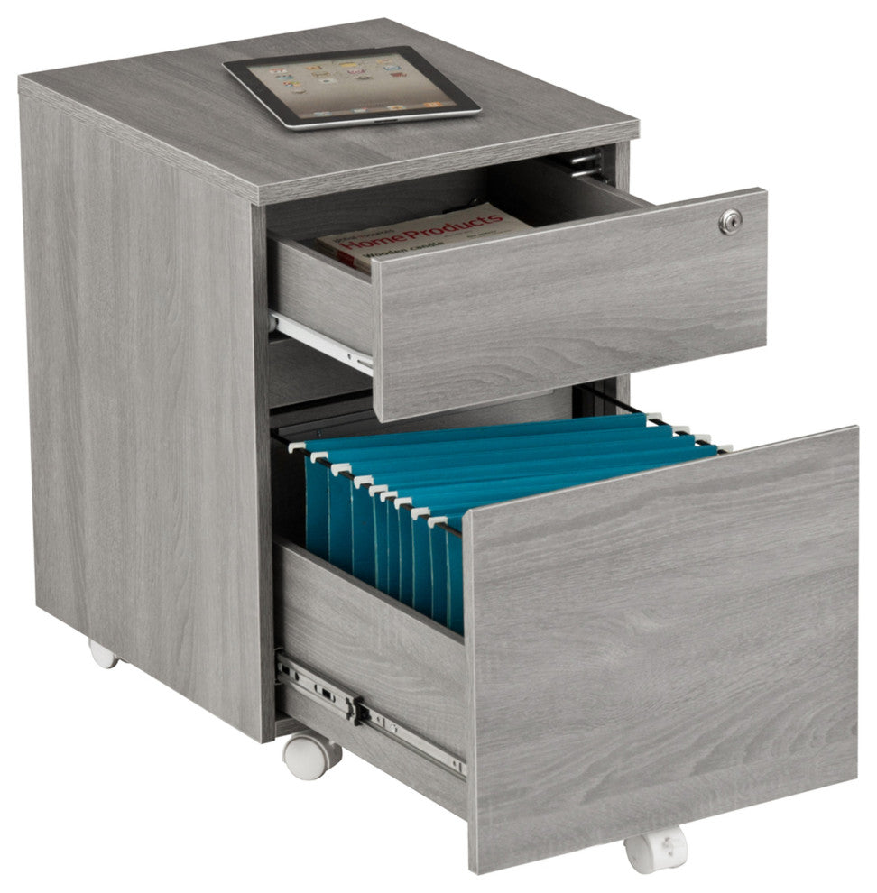 Techni Mobili Rolling 2-Drawer Vertical Filing Cabinet, Gray