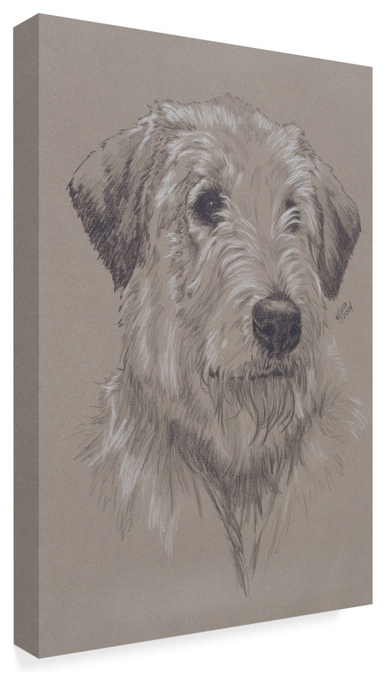 "Irish Wolfhound Illustration" by Barbara Keith, Canvas Art