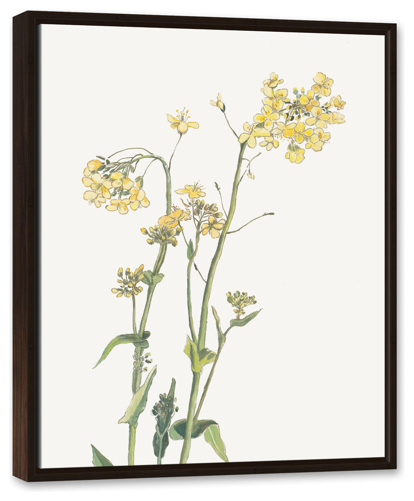 Yellow and Green Floral Botanicals 24x30 Walnut Floating Framed Canvas
