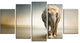 Smart Elephant Walking, Animal Canvas Wall Art, 60"x32", 5 Panels