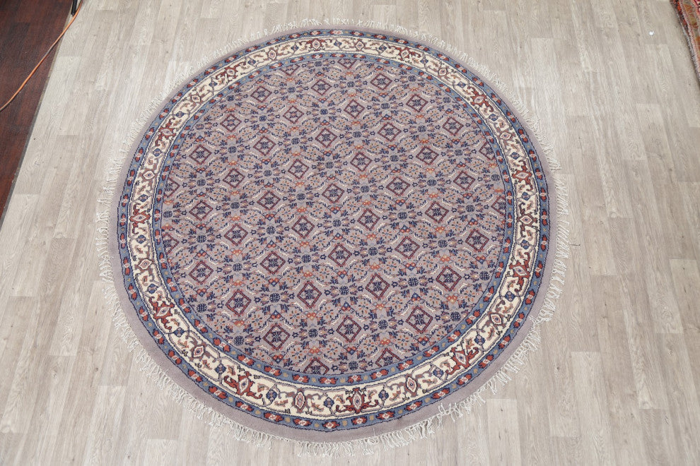 Bidjar Oriental Traditional Area Rug Hand-Knotted Indian, Gray, 8'3"x8'0