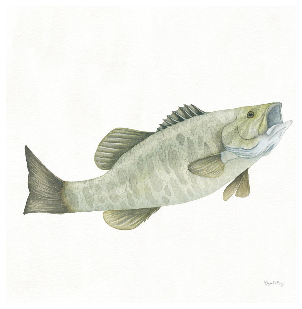 "Gone Fishin Small Mouth" Digital Paper Print by Elyse DeNeige, 20"x20"