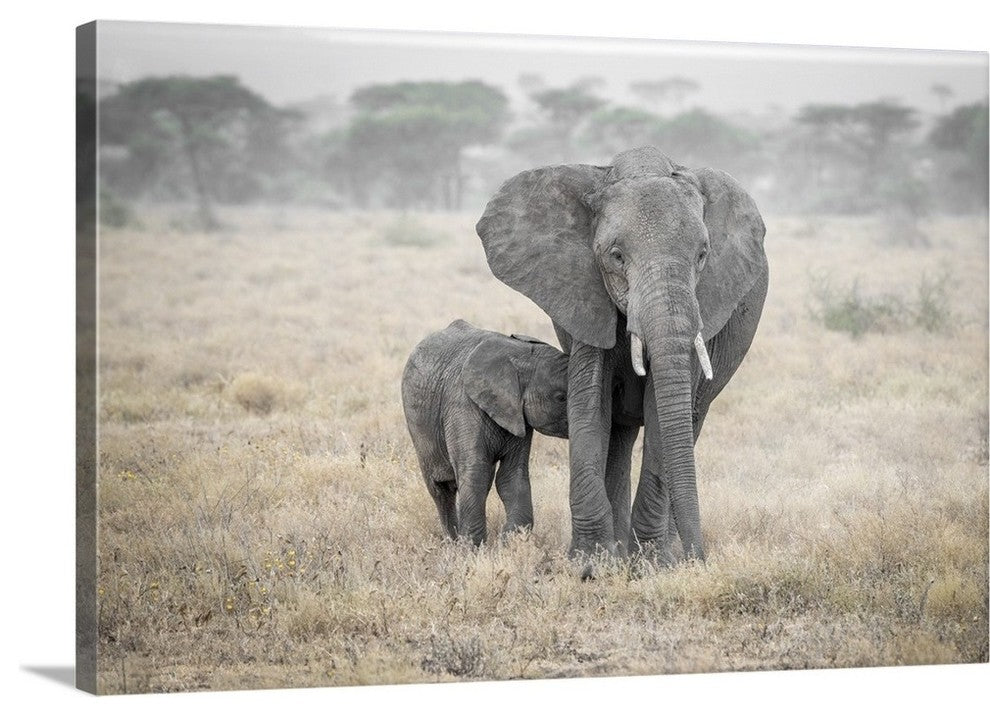 "Serengeti Breakfast Time" Wrapped Canvas Art Print, 48"x32"x1.5"