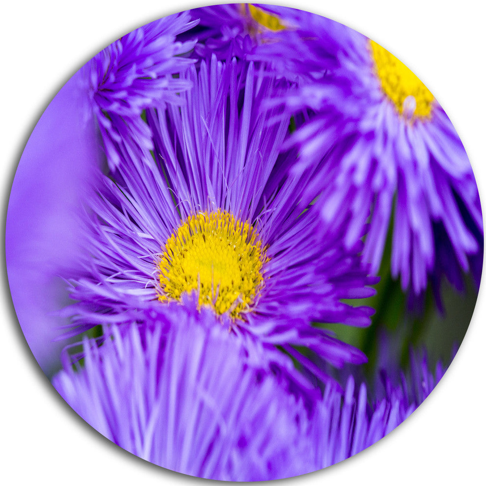 Bunch Of Violet Flowers, Flower Round Metal Wall Art, 11"