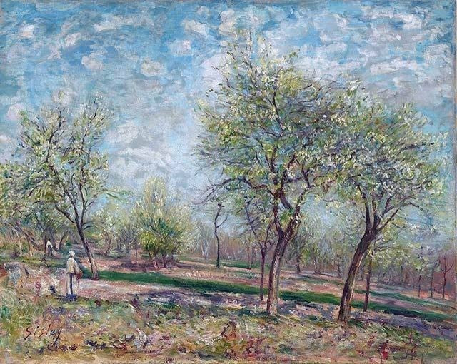 Alfred Sisley Apple Trees in Bloom, 20"x25" Wall Decal Print