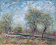 Alfred Sisley Apple Trees in Bloom, 20"x25" Wall Decal Print