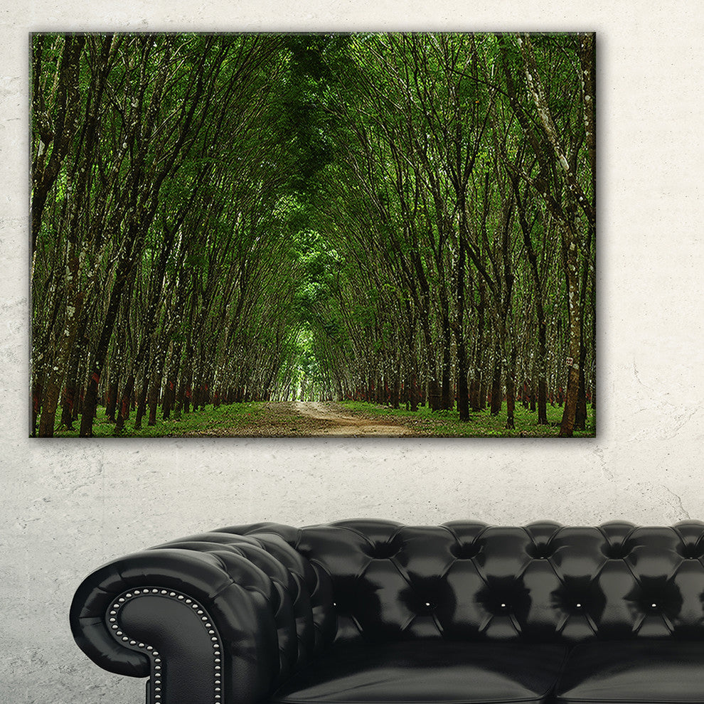 "Pathway in Thick Green Forest" Landscape Canvas Photo Print, 40"x20"
