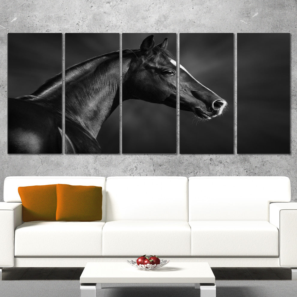 Black Arabian Horse Portrait, Animal Canvas Art Print, 60"x28", 5 Panels