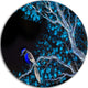 Beautiful Bird On Flowering Branch, Floral Round Wall Art, 23"