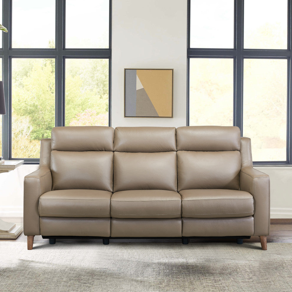 Wisteria Contemporary Sofa In Light Brown Wood Finish And Taupe Genuine Leather
