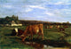 Eugene-Louis Boudin A Pasture in the Touques Valley Wall Decal