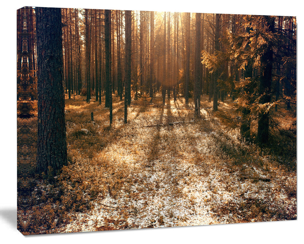 Road in Dark Wooded Forest, Modern Forest Canvas Art, 20"x12"
