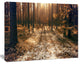 Road in Dark Wooded Forest, Modern Forest Canvas Art, 20"x12"