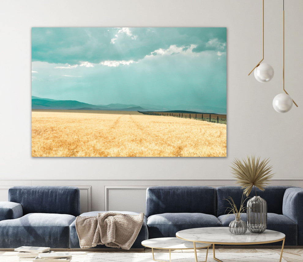Harvest Shadow - 72 x 48 by Annie Bailey Art