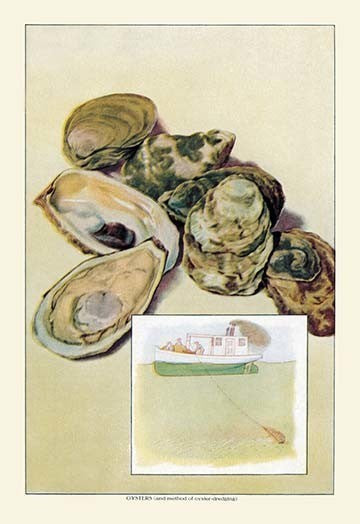 Oysters - Fine Art Giclee Print 24" x 36"