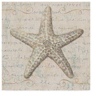 Lisa Audit 'Coastal Beauty II' Canvas Art, 35"x35"