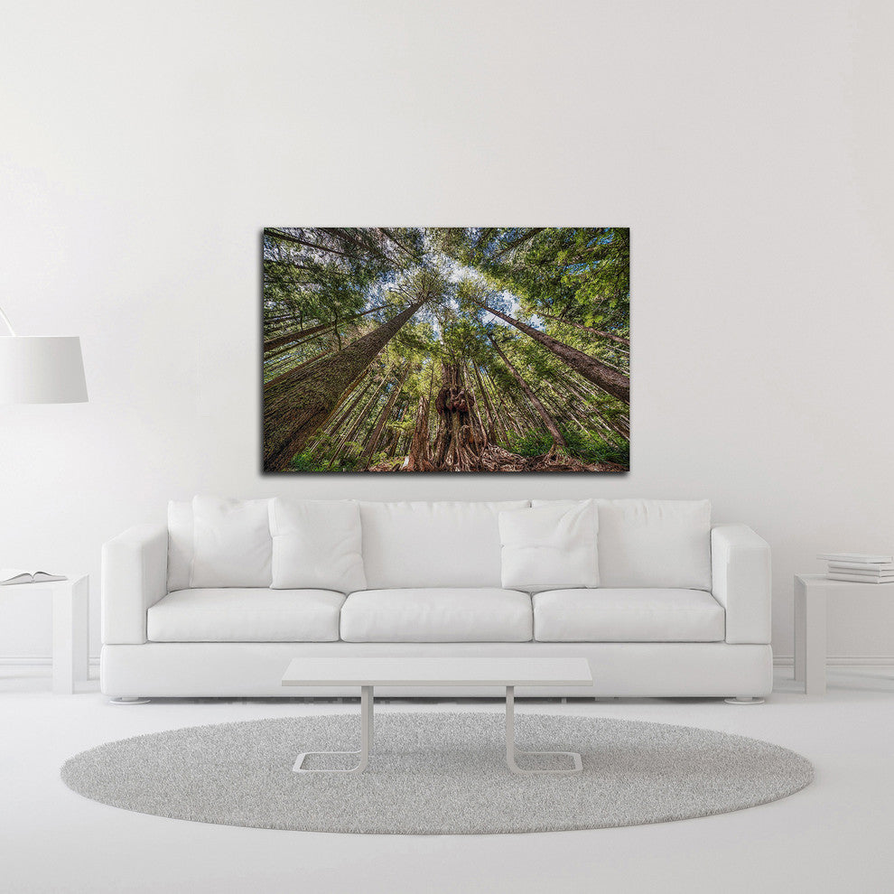 Avatar Grove Canopy by Tim Oldford, Print on Canvas, 24"x16"